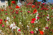 © Tourismusgruppe Abtsgmünd